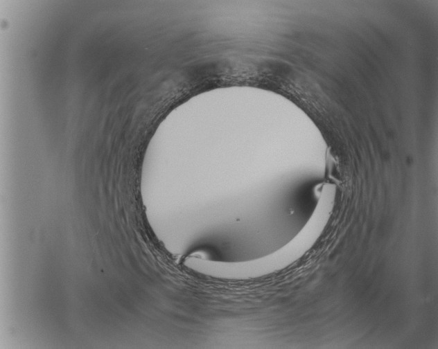 X0000062851153200602101554