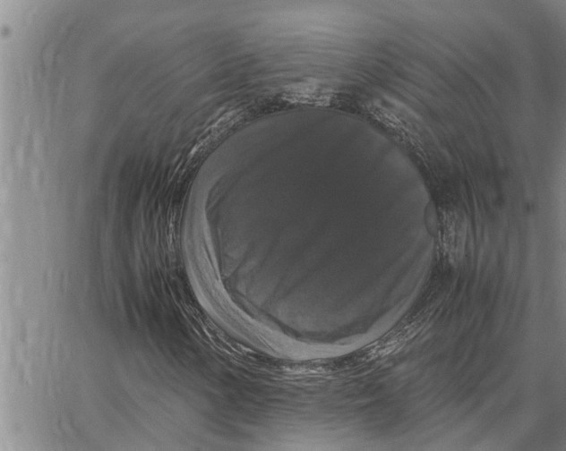 X0000062851154200602101554