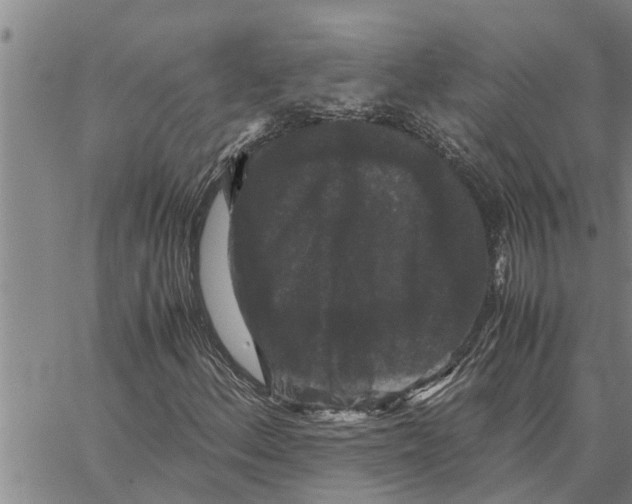 X0000062851156200602101554