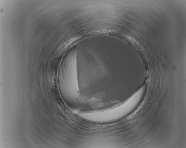X0000062851161200602101554