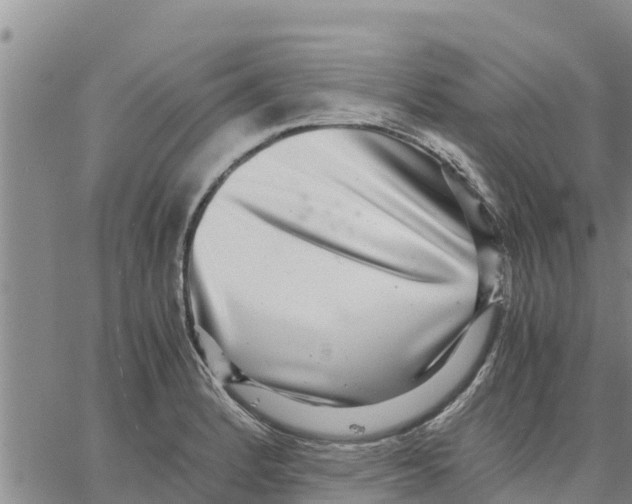 X0000062851184200602101554