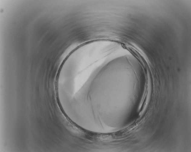 X0000062851291200602101552