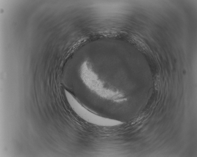 X0000062851298200602101551