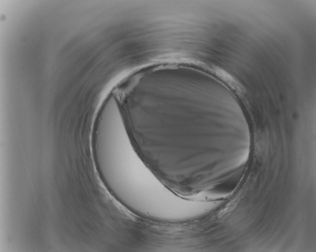 X0000062851334200602101552