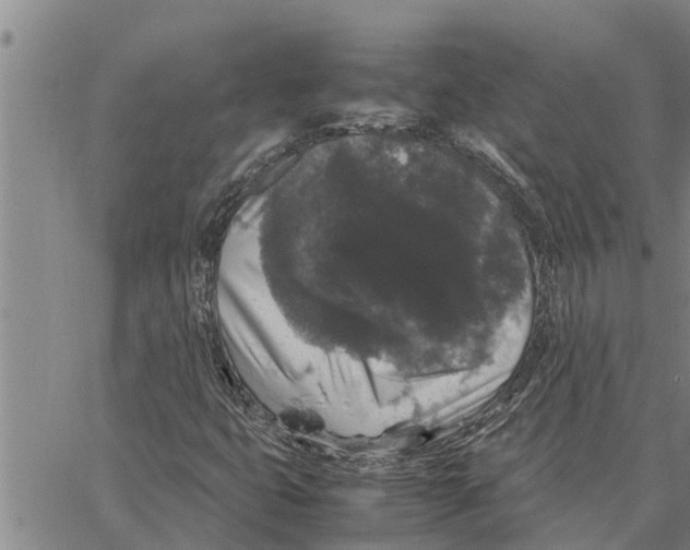 X0000062851399200602101550