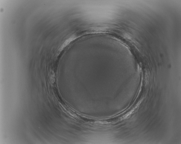 X0000062851449200602101550