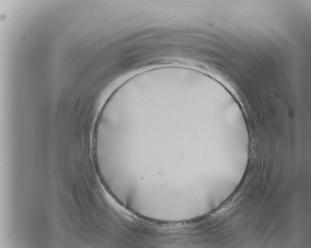 X0000062851535200602101549