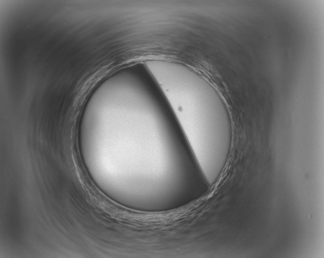 X0000062860001200601131000