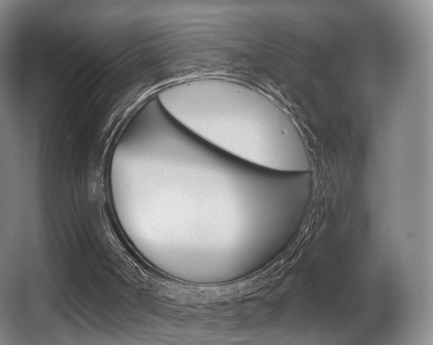 X0000062860002200601131000