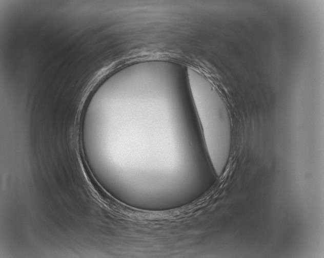 X0000062860003200601131000