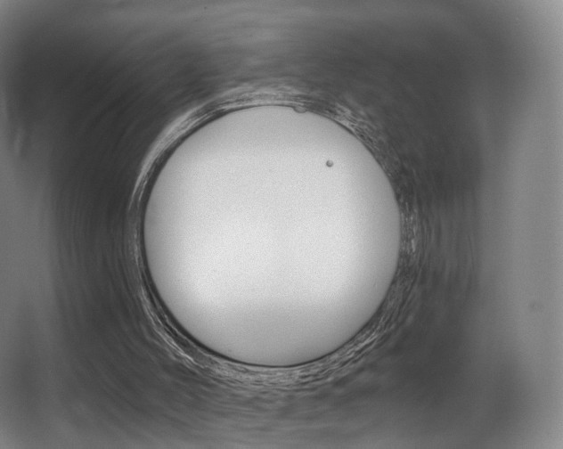 X0000062860004200601131000