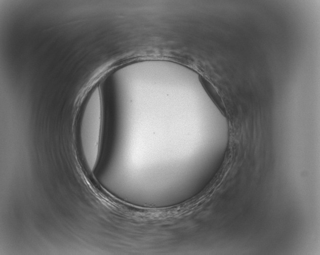 X0000062860005200601131000