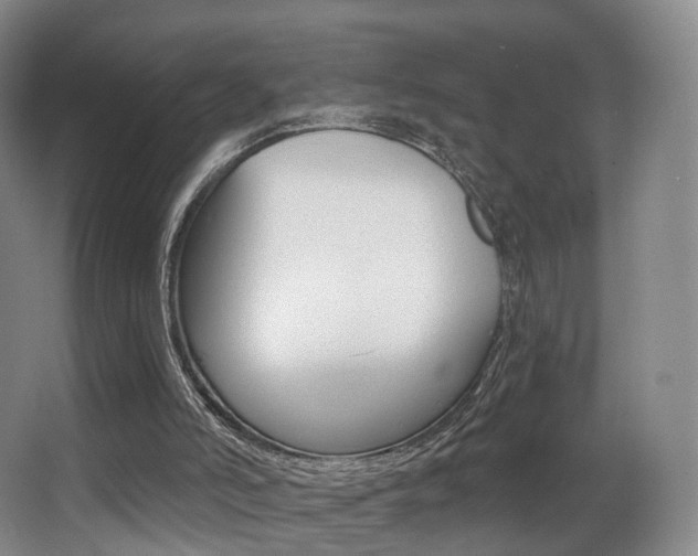 X0000062860006200601131000