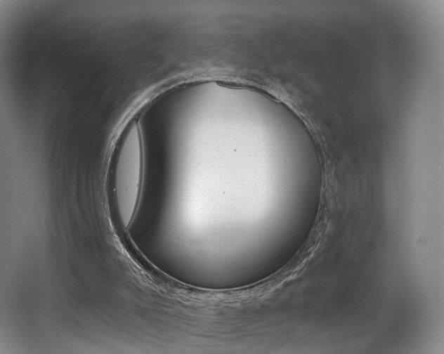 X0000062860007200601131000