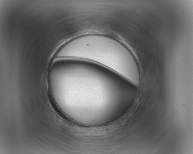 X0000062860011200601131000