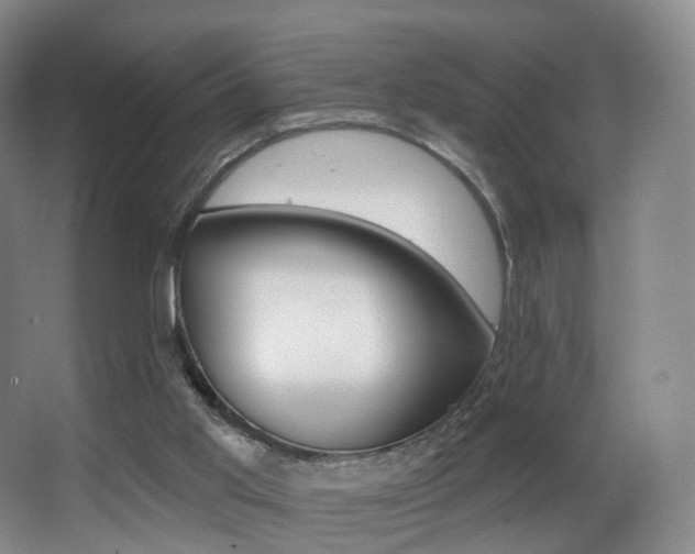 X0000062860013200601131000