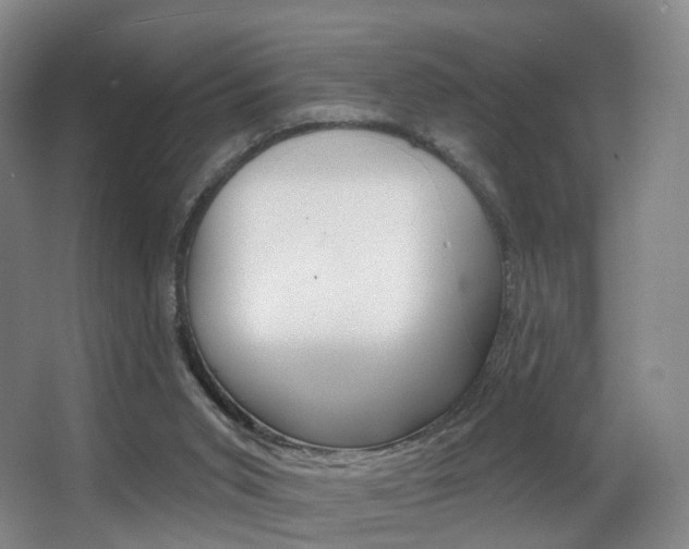 X0000062860015200601131000