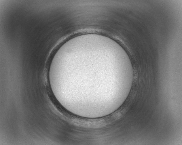 X0000062860016200601131000