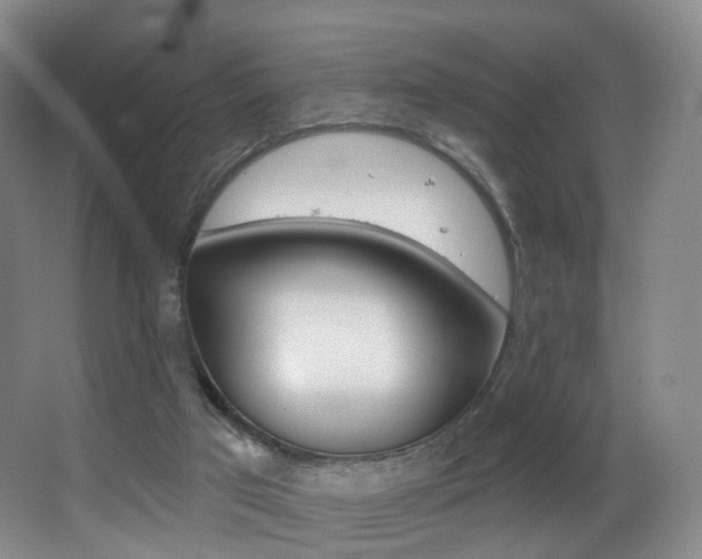 X0000062860017200601131000