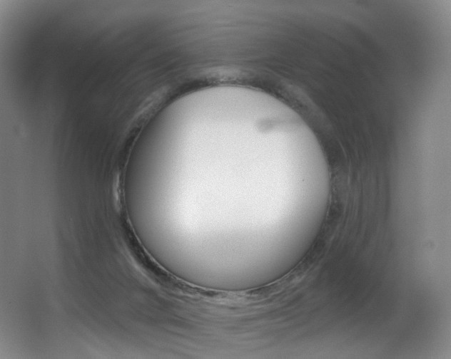 X0000062860024200601131000