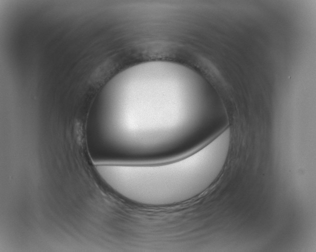 X0000062860025200601131000