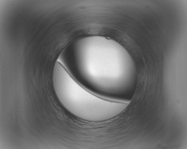 X0000062860031200601131000