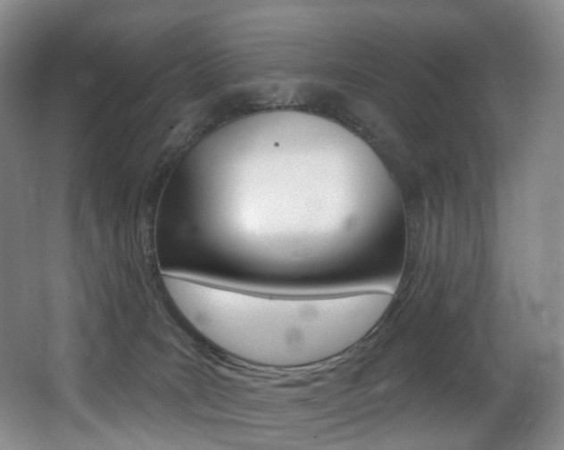 X0000062860035200601130959