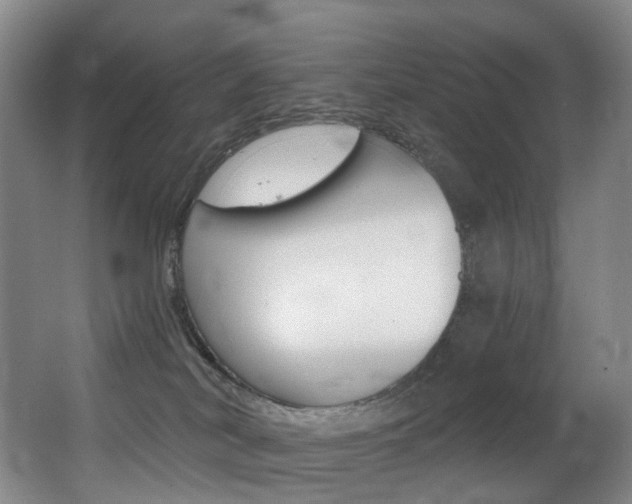 X0000062860038200601130959