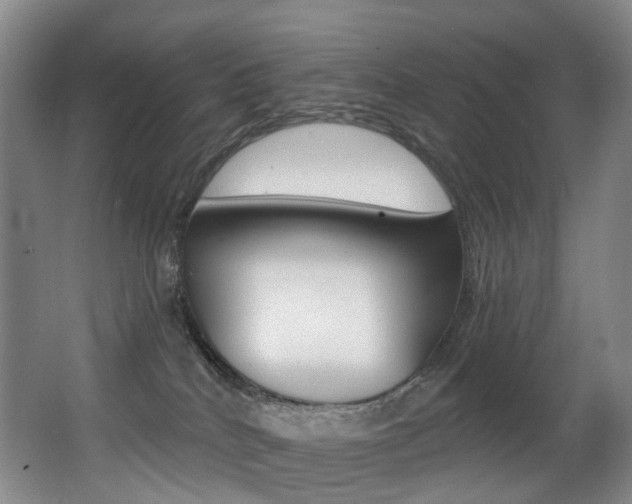 X0000062860040200601130959