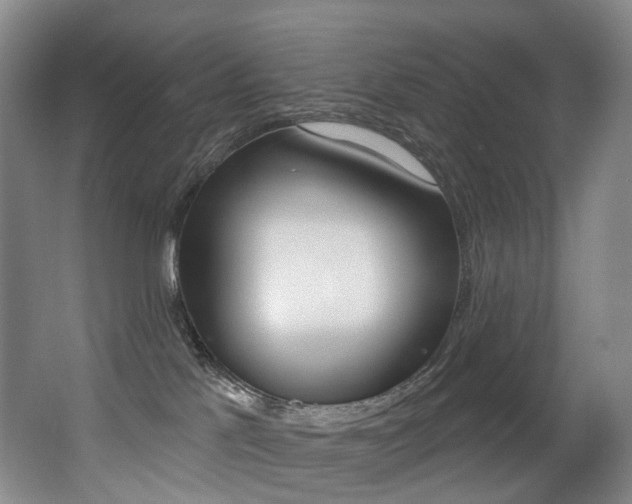 X0000062860041200601130959