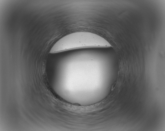 X0000062860043200601130959