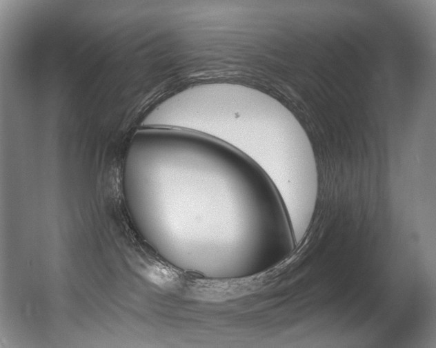 X0000062860045200601130959