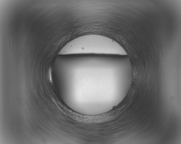 X0000062860046200601130959