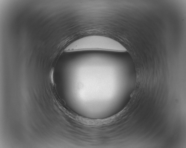 X0000062860047200601130959