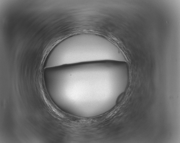 X0000062860049200601130958