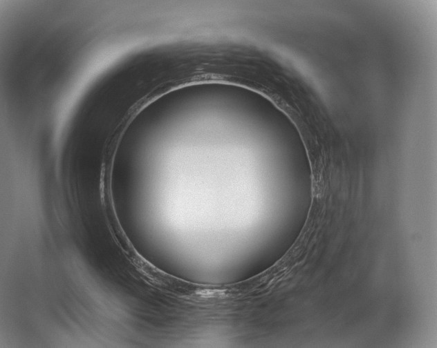 X0000062860052200601130958