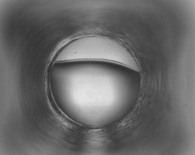 X0000062860054200601130959