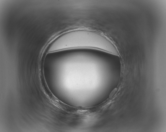 X0000062860055200601130959