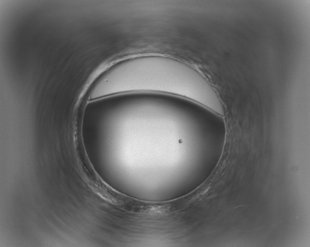 X0000062860056200601130959