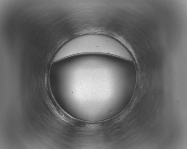 X0000062860057200601130959