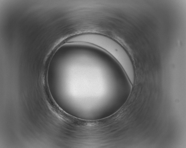 X0000062860060200601130959