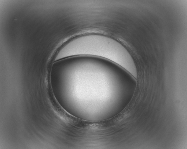 X0000062860064200601130959