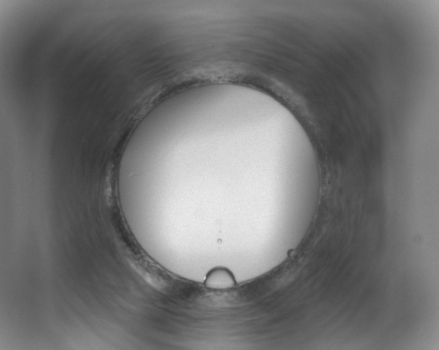 X0000062860065200601130959