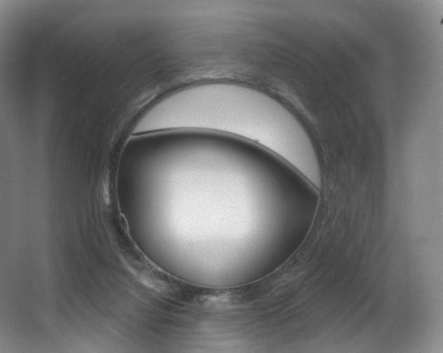 X0000062860068200601130959