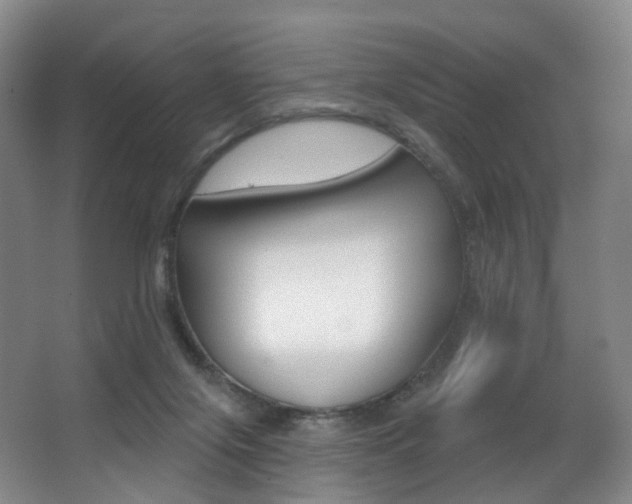X0000062860071200601130959