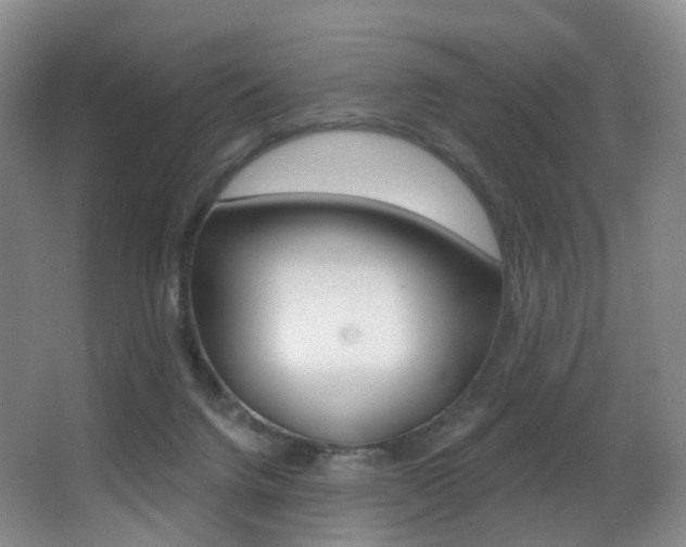 X0000062860072200601130959