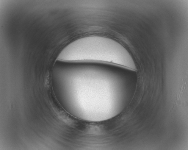 X0000062860073200601130959