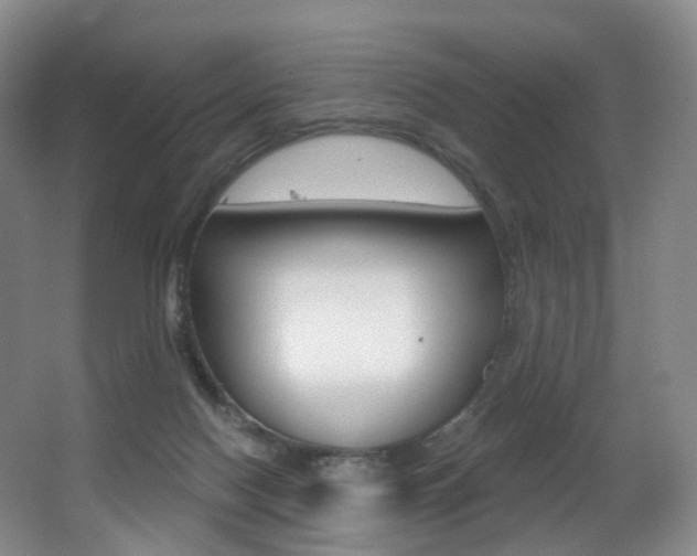 X0000062860074200601130959