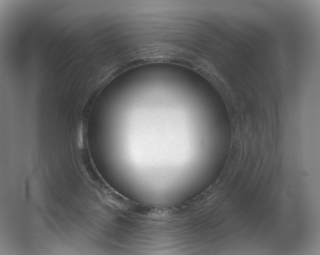 X0000062860076200601130959