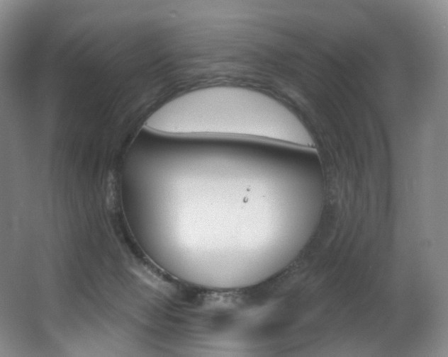 X0000062860077200601130959